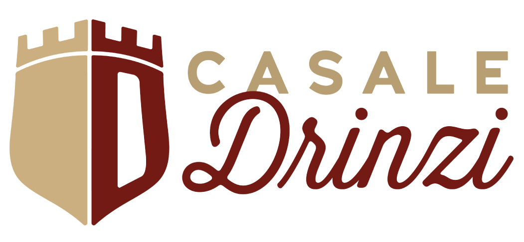 logo drinzi orizzontale grande_2
