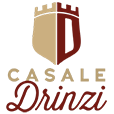 logo_sito_drinzi-header_3 piu_piccolo