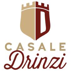 logo_sito_drinzi header_3